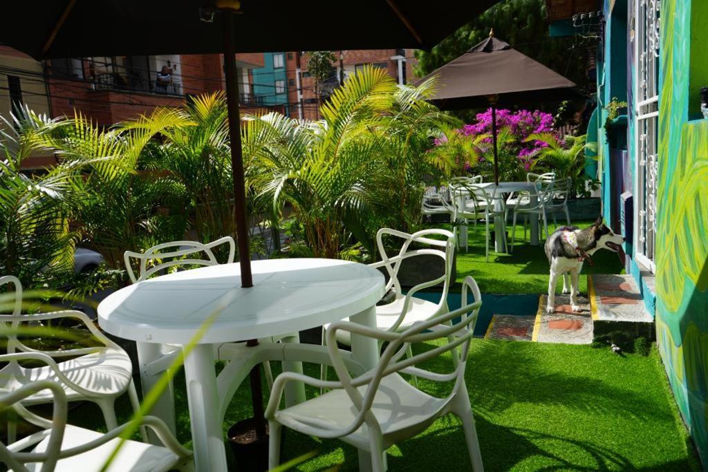Gaston Coliving Pansiyon Medellín Dış mekan fotoğraf