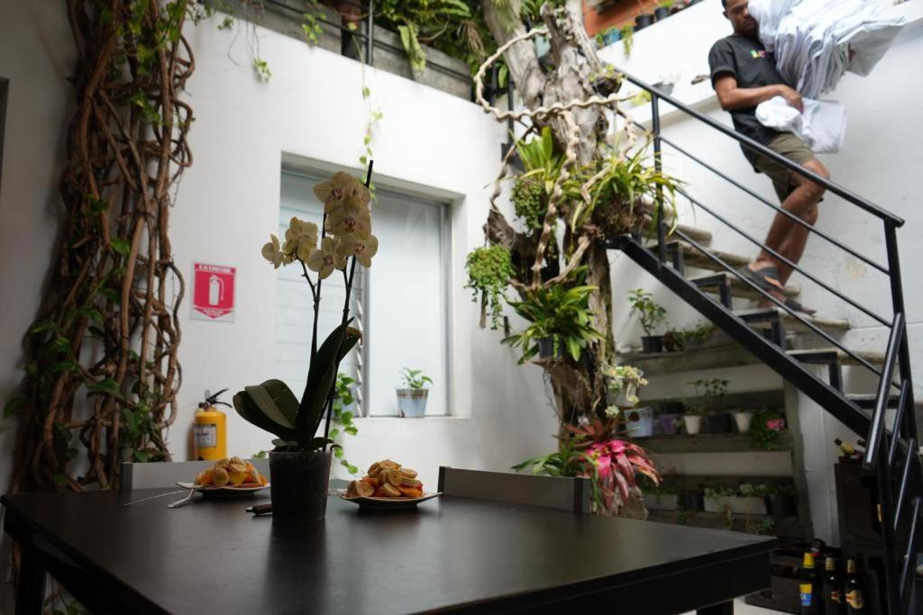 Gaston Coliving Pansiyon Medellín Dış mekan fotoğraf