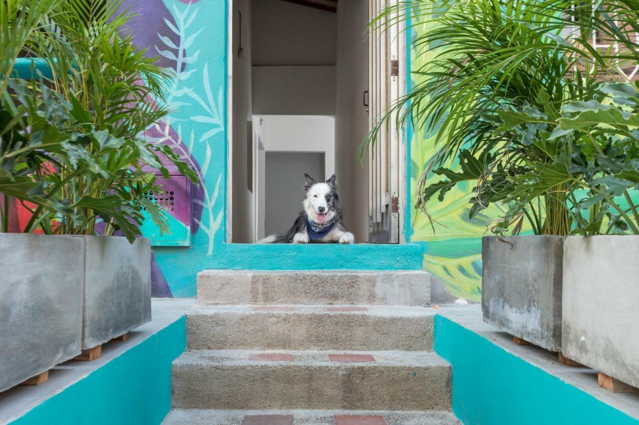 Gaston Coliving Pansiyon Medellín Dış mekan fotoğraf